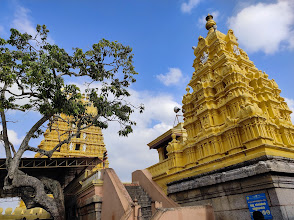 Attractions Image